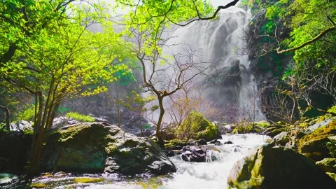 Waterfall in the mountains, Khlong Lan Waterfall 動画素材 229094909