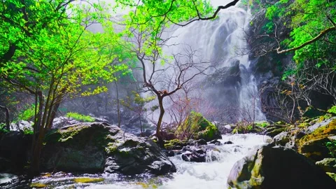 Waterfall in the mountains, Khlong Lan Waterfall 動画素材 229094910