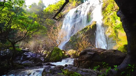 Waterfall in the mountains, Khlong Lan Waterfall 動画素材 229094932