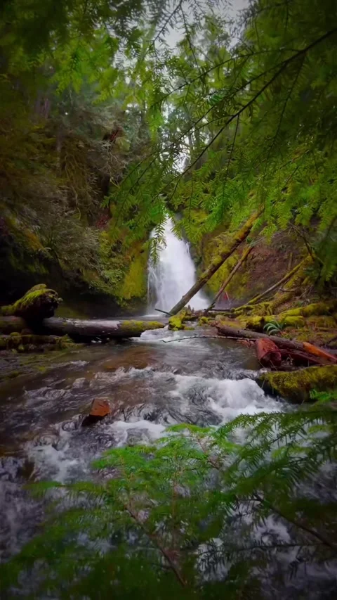 Waterfall in the mountains looking beautiful Stock Footage 274043629