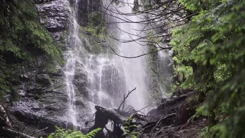 Waterfall in the mountains rock tree roots falling splashing water 動画素材 137919517
