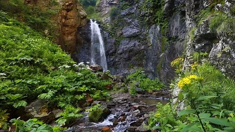 Waterfall in the mountains. Slow motion. Stock Footage 79891055
