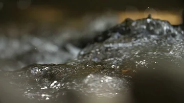 Waterfall in mountains in slow motion Stock Footage 85948181