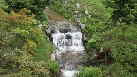 Waterfall in the mountains, waterfall in the forest Video stock 310216056