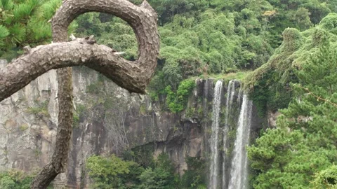 Waterfall in the mountains, waterfall in the forest Stock Footage 310345871