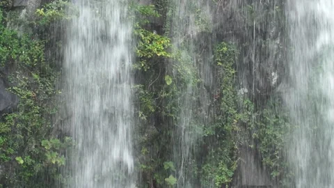 Waterfall in the mountains, waterfall in the forest Video stock 310345897