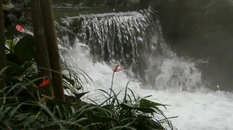 Waterfall-mov 動画素材 796278