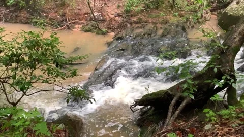 WATERFALL IN A MUDDY STREAM AFTER HEAVY RAIN Vídeos de archivo 131337008