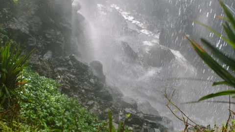 Waterfall Native Bush, Australia, QLD, Gondwana, Springbrook Stock Footage 236540055