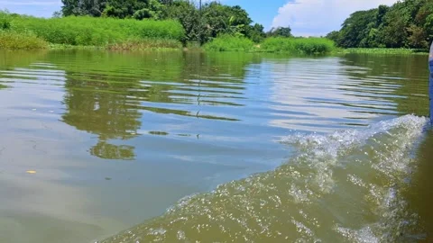 Waterfall in Natural Landscape on the river Vídeo Stock 331807169