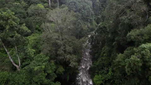 Waterfall in a natural rainforest in Laos Stock Footage 248660801