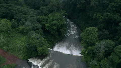 Waterfall in a natural rainforest in Laos Stock Footage 248660841