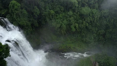 Waterfall in a natural rainforest in Laos Stock Footage 248660963