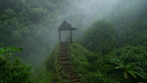 Waterfall in a natural rainforest in Laos Stock Footage 248660982