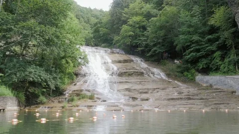 Waterfall with Natural Swimming Pool Stock Footage 81537800