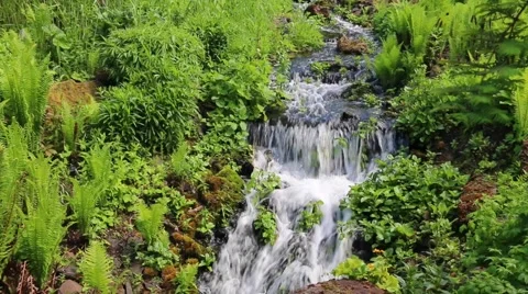 Waterfall Nature Background Stock Footage 51841003
