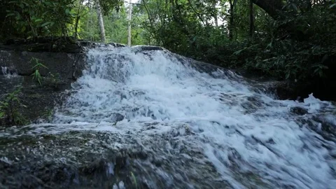 Waterfall of nature Vídeo Stock 77725141
