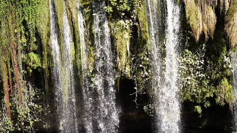 Waterfall in the nature Stock Footage 100464019