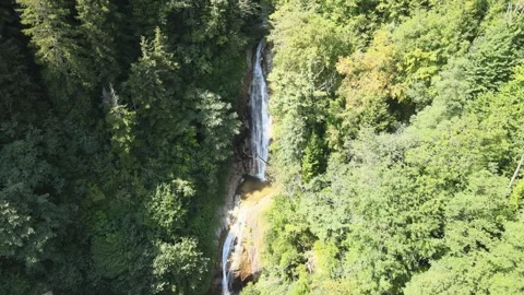 Waterfall nature landscape Stock Footage 240769089