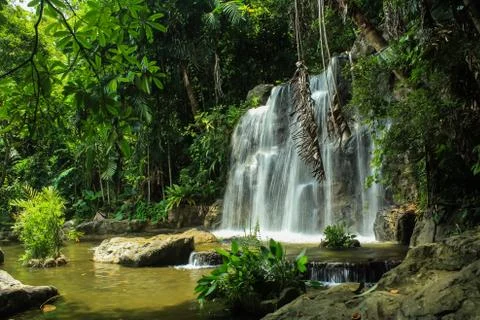 Waterfall in nature Fotos Stock