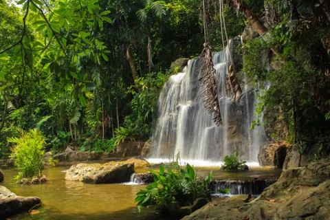 Waterfall in nature Stock Photos