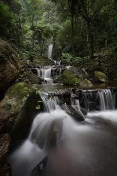 Waterfall in nature Stock Photos