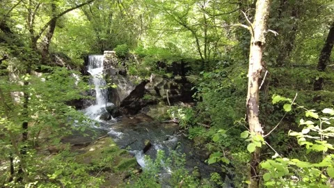 Waterfall in nature reserve 스톡 동영상 234268067
