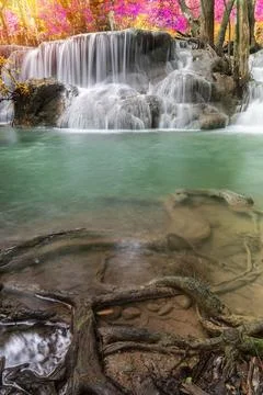 Waterfall nature season spring in forest Stock Photos