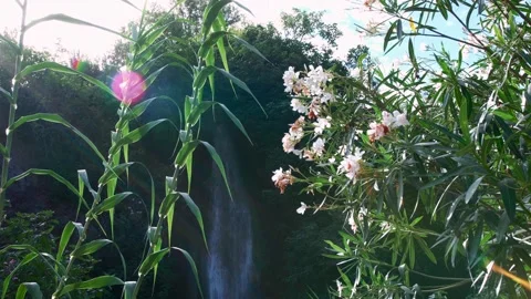 Waterfall of Navarres Spain Video stock 155445547