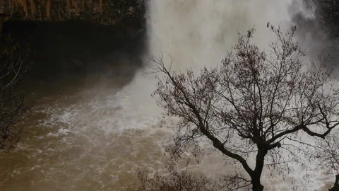 Waterfall near the tree Video stock 103055043
