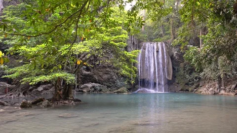 Waterfall near tree in green forest Stock Footage 128173445