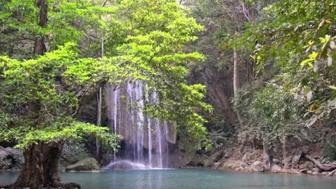 Waterfall near tree in green forest Stock Footage 137329375