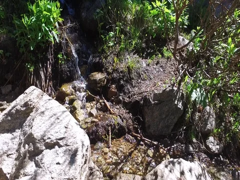 Waterfall in Nederland, Colorado Stock Footage