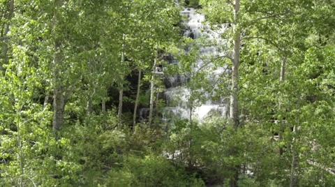 Waterfall nestled behind forest trees 스톡 동영상 48339267