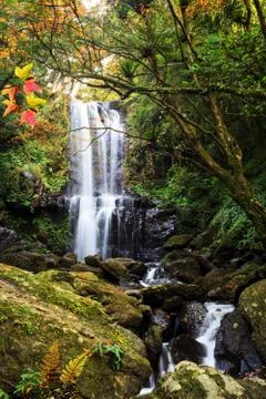 Waterfall with nice maple tree for adv or others purpose use Stock Photos