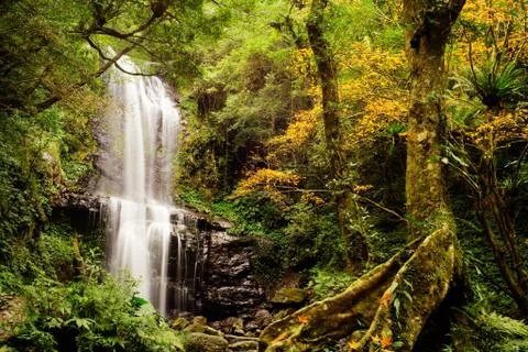 Waterfall with nice maple tree  Stock Photos