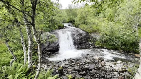 Waterfall in norwegian wilderness Stock Footage 342077095