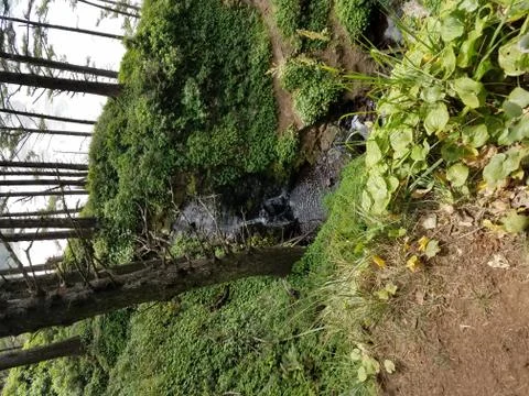 Waterfall By The Ocean Stock Photos