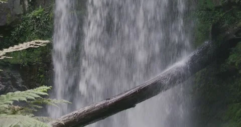 Waterfall With Old Trunk, Pan Shot 8k Stockbeeldmateriaal 330680724