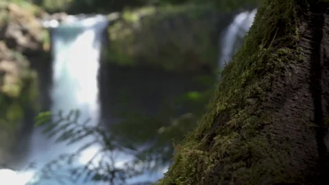 Waterfall Oregon 4K Stock Footage 99698162