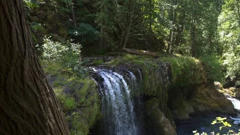 Waterfall Oregon 4K Stock Footage 99698165