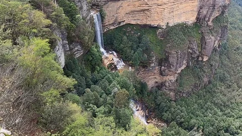 Waterfall over cliff face eucalyptus gum trees Blue Mountains Australia Stock Footage 125892931