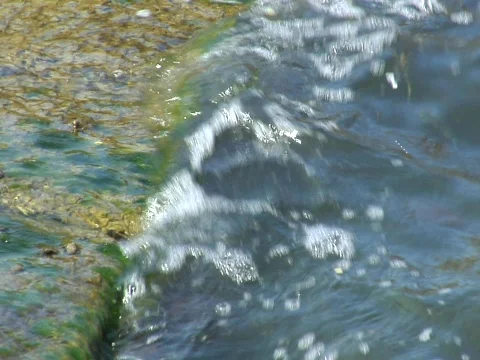 Waterfall over edge of mossy dock Stock Footage 709276