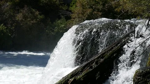 Waterfall over log Stock Footage 54600206