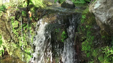 Waterfall Over Moss Covered Rocks In Japanese Stream Stock Footage 50558481