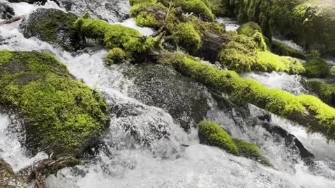 Waterfall over mossy rocks Stock Footage 156665027