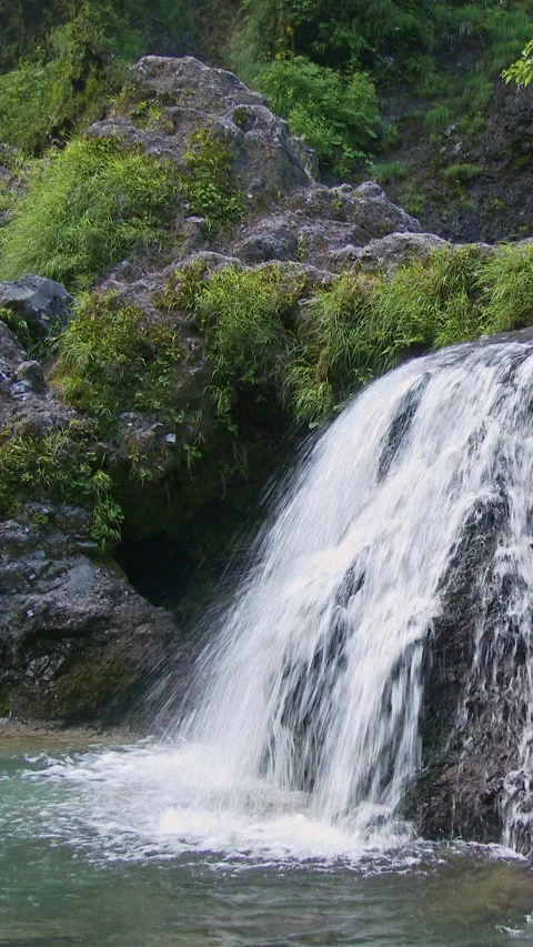 Waterfall Over Mossy Rocks Into Pool Vertical Video Vidéo 346067178