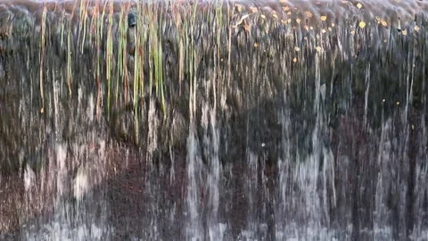 Waterfall over a small canal dam Stock Footage 283965112