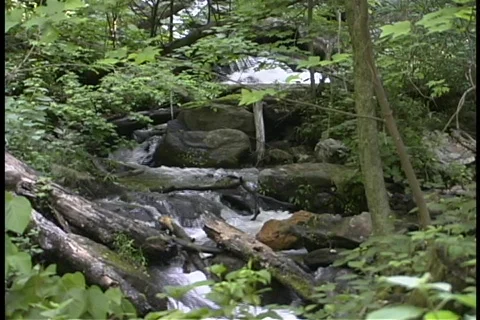 Waterfall over the top Stock Footage 140481