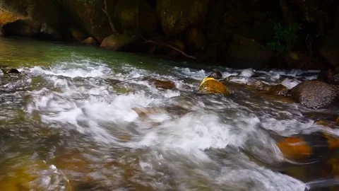 Waterfall at pahang,Malaysia Stock Footage 77306146